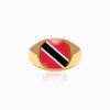 NATIONAL FLAG SQUARE RING