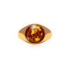 Barataria North Secondary - School Ring