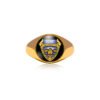 The College of Science, Technology and Applied Arts of Trinidad and Tobago (COSTAATT) - School Ring