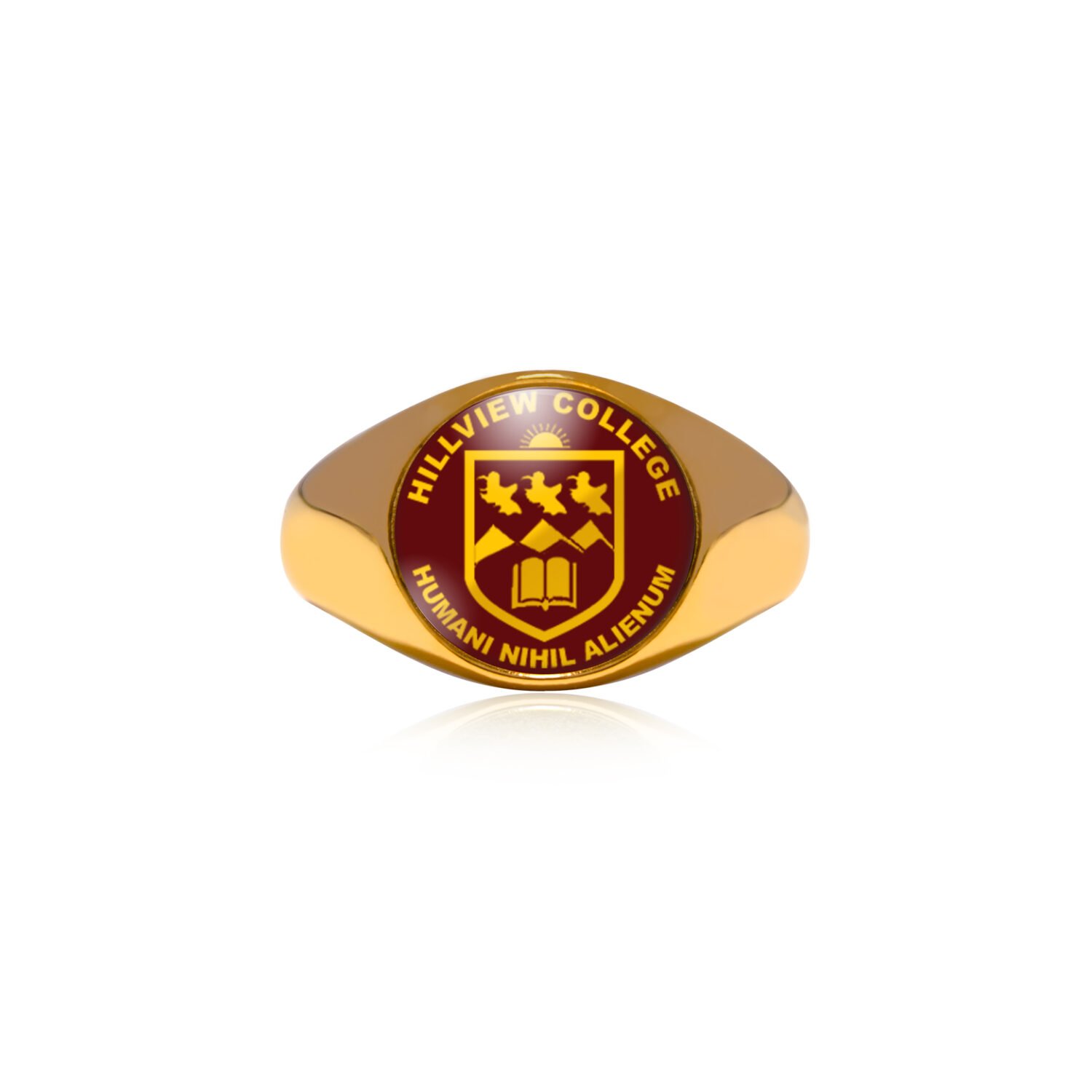 Hillview College - School Ring