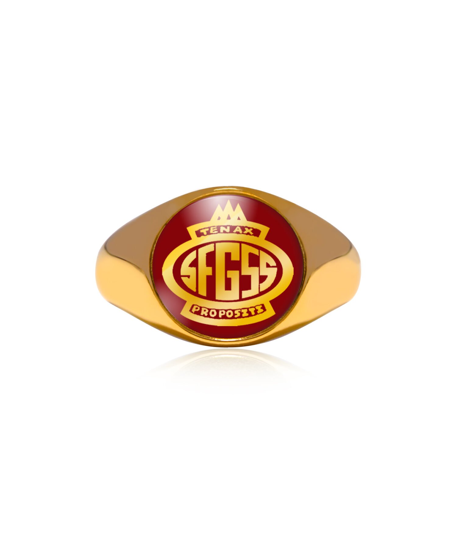 Modern Business School, San Fernando - School Ring