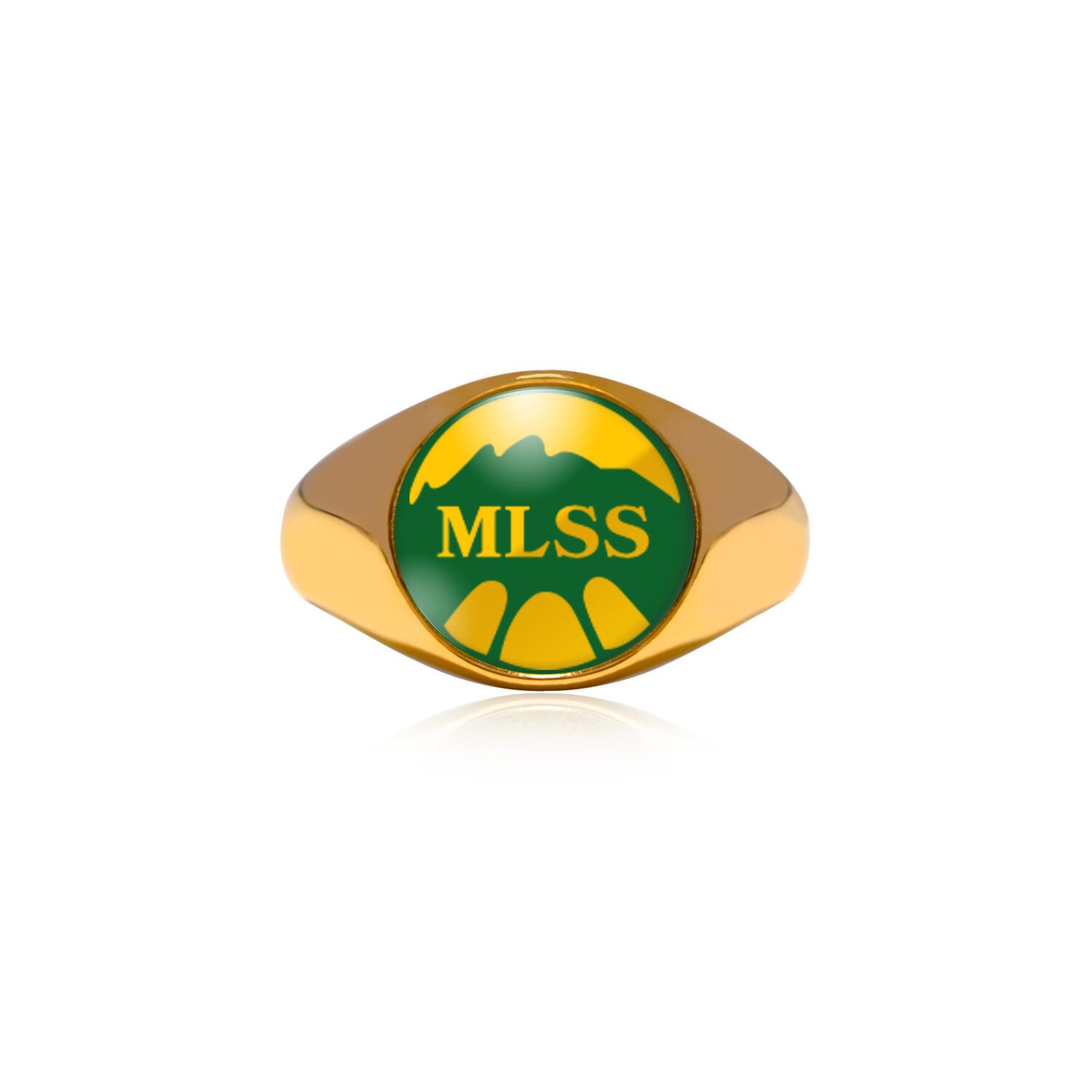 Morvant/Laventille Secondary - School Ring