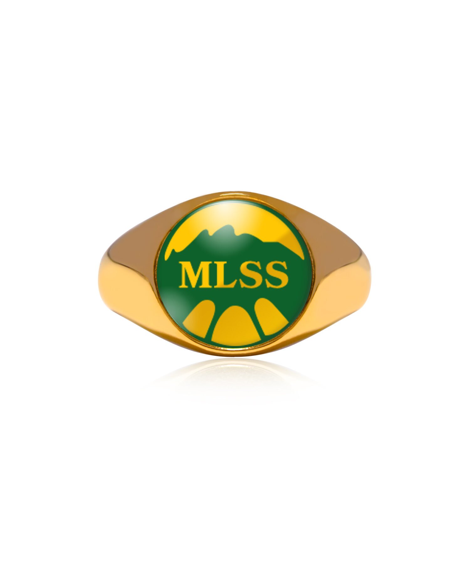 Morvant/Laventille Secondary - School Ring