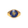 Preysal Secondary - School Ring