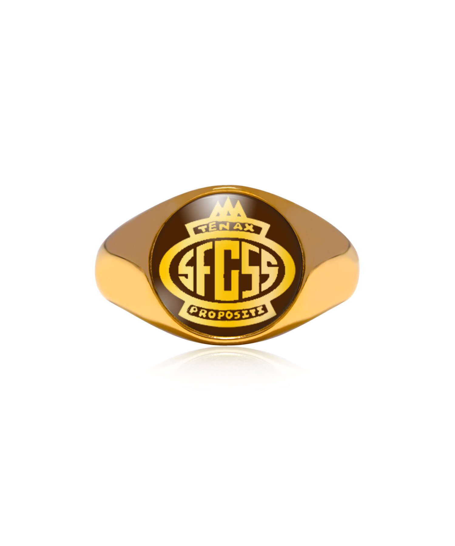 San Fernando Central Secondary School - School Ring