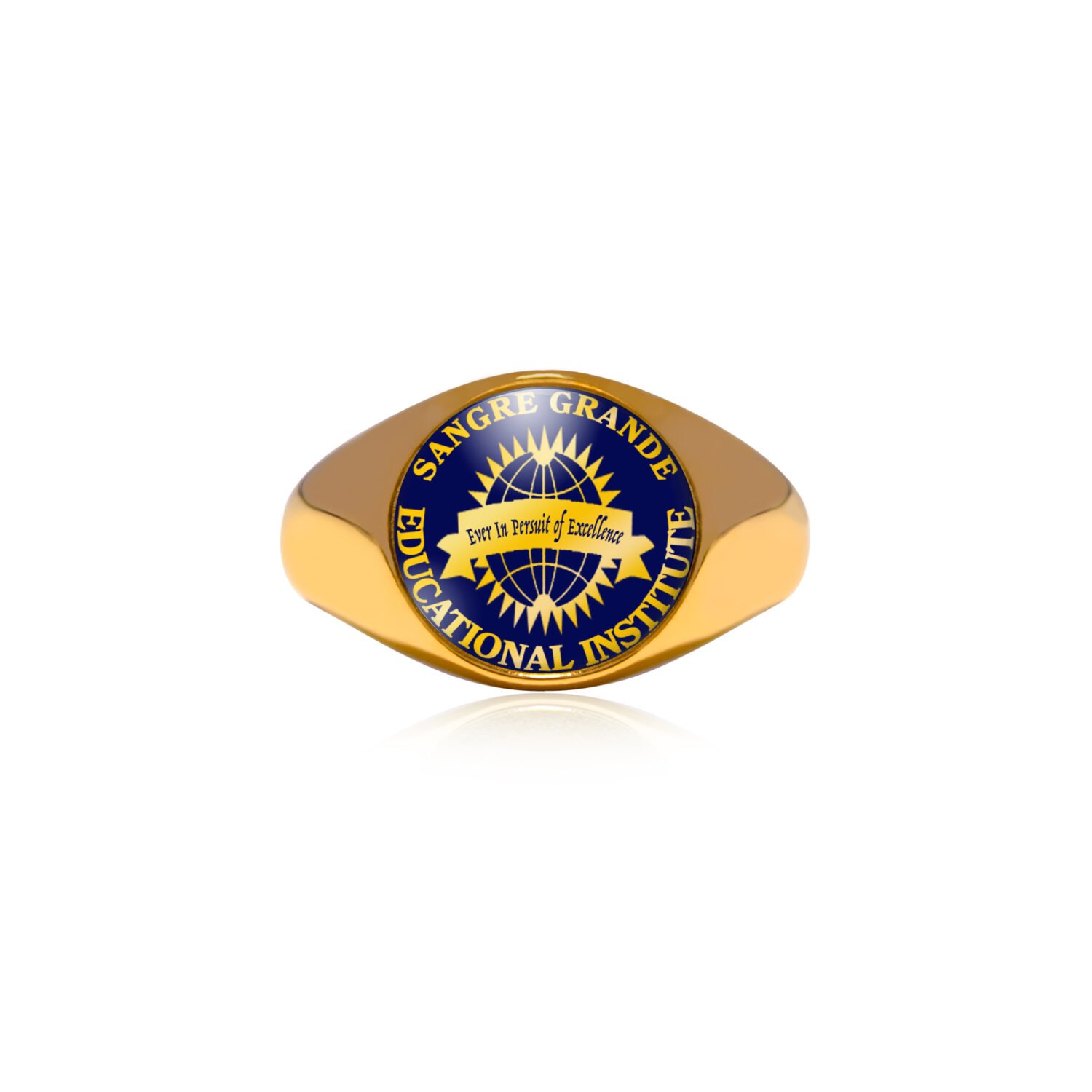 Sangre Grande Education Institute - School Ring